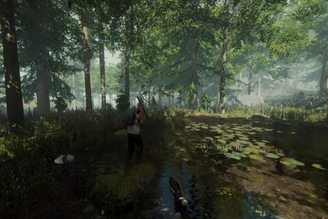 Forrest Game: Meaning, How It Works, Gameplay & Safety Guide