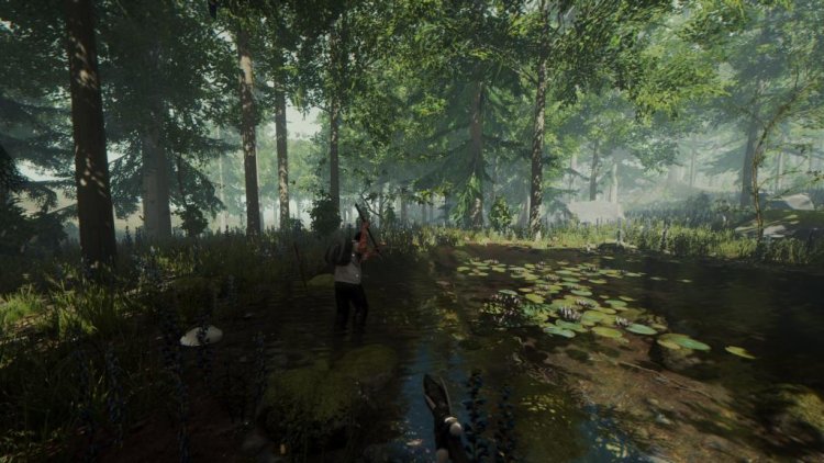 Forrest Game: Meaning, How It Works, Gameplay & Safety Guide